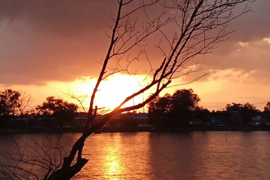 Destinasi Baru! Cafe Kalitekung dan Wisata Susur Sungai Resmi Diluncurkan di Tambak Cemandi Sidoarjo Cafe Kalitekung dan Wisata Susur Sungai